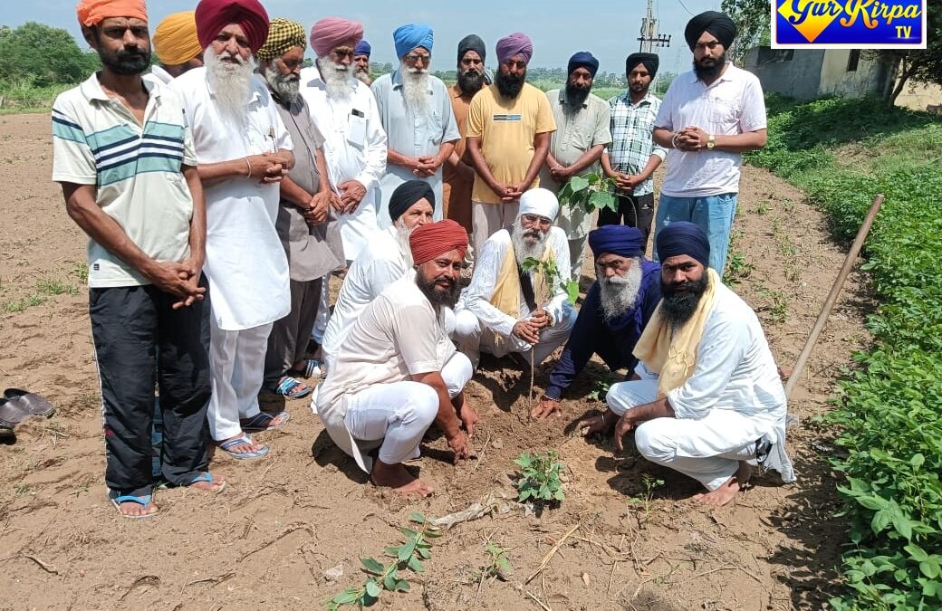 ਕਰਤਾਰ ਏਡ ਵਲੋਂ ਠੰਡੀ ਛਾਂ ਮਿਸ਼ਨ ਅਧੀਨ ਬੂਟੇ ਲਾਉਣ ਦੀ ਕੀਤੀ ਸ਼ੁਰੂਆਤ