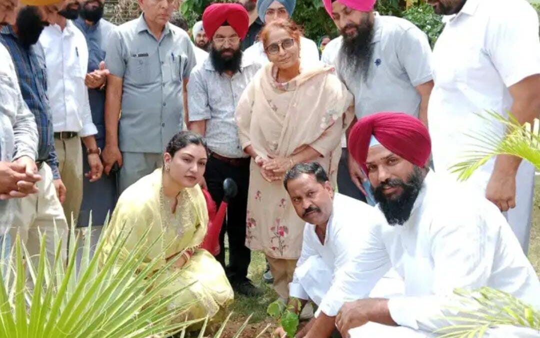 ਕੈਬਨਿਟ ਮੰਤਰੀ ਅਨਮੋਲ ਗਗਨ ਮਾਨ ਨੇ ਖ਼ਿਜ਼ਰਾਬਾਦ ਦੇ ਸਕੂਲ ‘ਚ ਲਾਏ ਪੌਦੇ