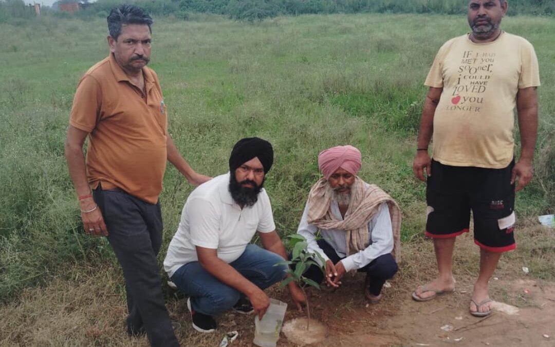 ਇੱਕ ਰੁੱਖ ਸੌ ਸੁੱਖ ਕਾਕਾ ਨੋਰਥ